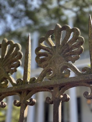 Two Chicks Walking Tours by null