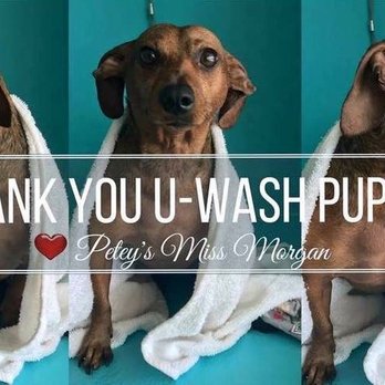 U-Wash Puppy - Pet Groomers Near Me - Shawnee, Kansas U-Wash Puppy - Pet Groomers Near Me - Shawnee, Kansas