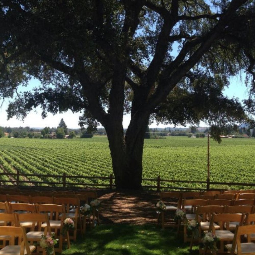 Ceremony under the huge tree overlooking vineyard! Ceremony under the huge tree overlooking vineyard!
