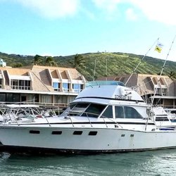 Big John's Tours - Golden Dragon a 38ft Bertram capable of taking down the largest tournament game fishing