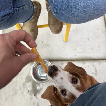 Pints Dog House - Beer Bar Near Me - Lacey, Washington