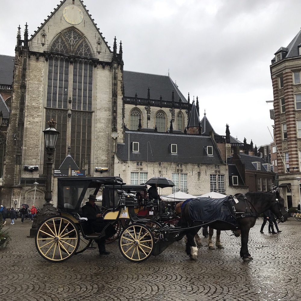 Koninklijk Paleis Amsterdam - It's a horse! - Landmarks & Historical Buildings Near Me - Amsterdam, New Hampshire