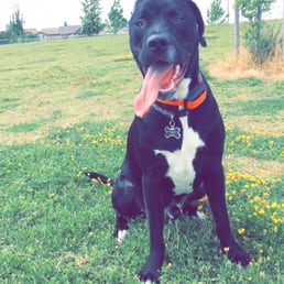Maximus Maximus