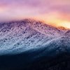 Legacy Tour & Travel gift card