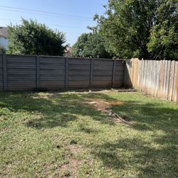 Rigo Tree Services - Rigo Removed the rotten tree.