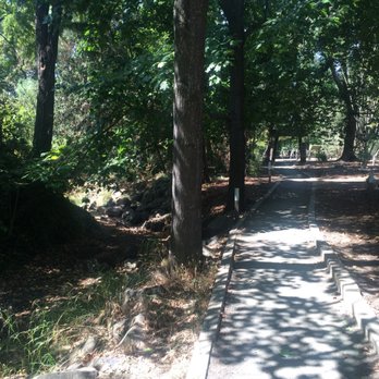Markham Nature Park & Arboretum - The trail - Parks Near Me - Concord, California
