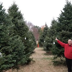 TROSA Christmas Tree Lot - This location has our largest trees, up to 20 feet tall!