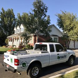 Insight Pest Solutions - Another happy customer treated by Insight Pest Solutions