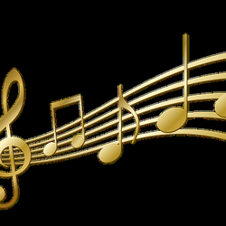 Ava Music & Art Centre