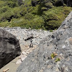 Mystic Forest RV Park - View from Hidden Beach.