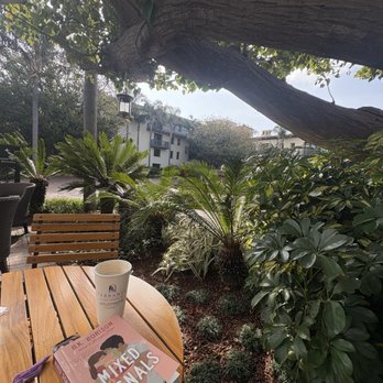 sea beans - Coffee & Tea Near Me - Rancho Palos Verdes, California sea beans - Coffee & Tea Near Me - Rancho Palos Verdes, California