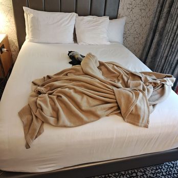 Flamingo Las Vegas - House keeping "made up" bed - Hotels Near Me - Las Vegas, Nevada