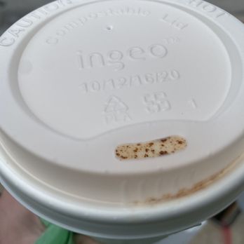 Sleepy Bee Cafe - Oakley - Chai - Breakfast & Brunch Near Me - Cincinnati, Ohio