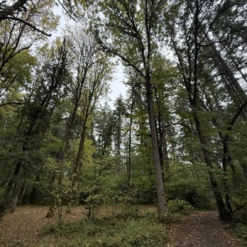 McCormick Park - Skate Parks Near Me - Saint Helens, Oregon