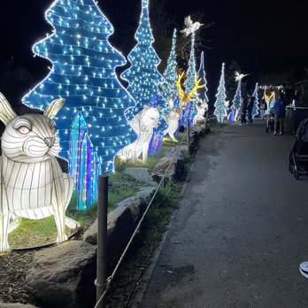 Glowfari - Zoos Near Me - Oakland, California