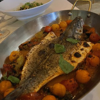 Marmo - Branzino - Italian Near Me - Houston, Texas Marmo - Branzino - Italian Near Me - Houston, Texas