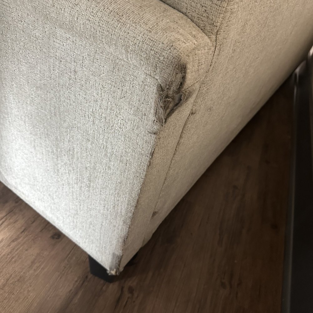 Devon Cooper & Mover’s - Fabric is both stained and shredded. - Movers Near Me Devon Cooper & Mover’s - Fabric is both stained and shredded. - Movers Near Me