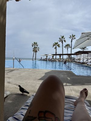 Krystal Grand Los Cabos by null