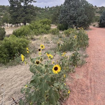 Ute Valley Park - Parks Near Me - Colorado Springs, Colorado Ute Valley Park - Parks Near Me - Colorado Springs, Colorado