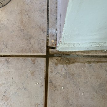 Hector Carpet - Carpet Cleaning Near Me