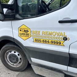 Super Bee Rescue and Removal - SUPER BEE REMOVAL