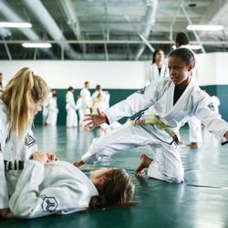 Gracie Jiu-Jitsu