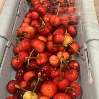 Ott Farms - Cherries - Farmers Market Near Me - Modesto, California