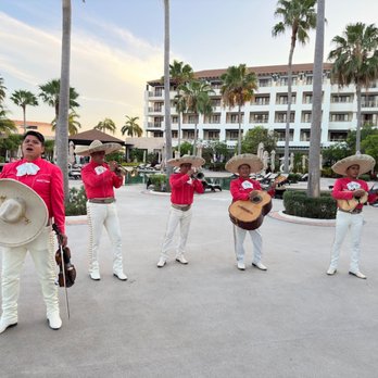Dreams Playa Mujeres - Live entertainment - Hotels Near Me - Cancun, ROO Dreams Playa Mujeres - Live entertainment - Hotels Near Me - Cancun, ROO