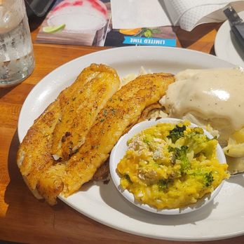 Cheddar's Scratch Kitchen - Blackened white fish with broccoli cheese casserole and mashed potatoes with gravy - American Near Me - Austin, Texas