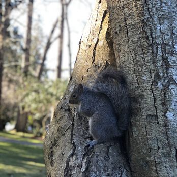 Beacon Hill Park - Parks Near Me - Victoria, British Columbia