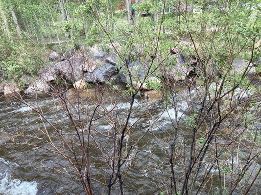 Cooper's on the Creek by null