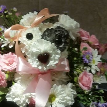 Palmer Flowers - Yes the dog has a black eye. Just like Charlie. - Florists Near Me - Fort Collins, Colorado Palmer Flowers - Yes the dog has a black eye. Just like Charlie. - Florists Near Me - Fort Collins, Colorado
