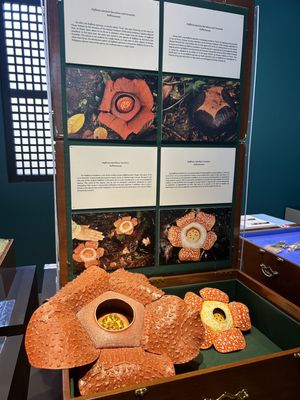 Museo Sugbo by null