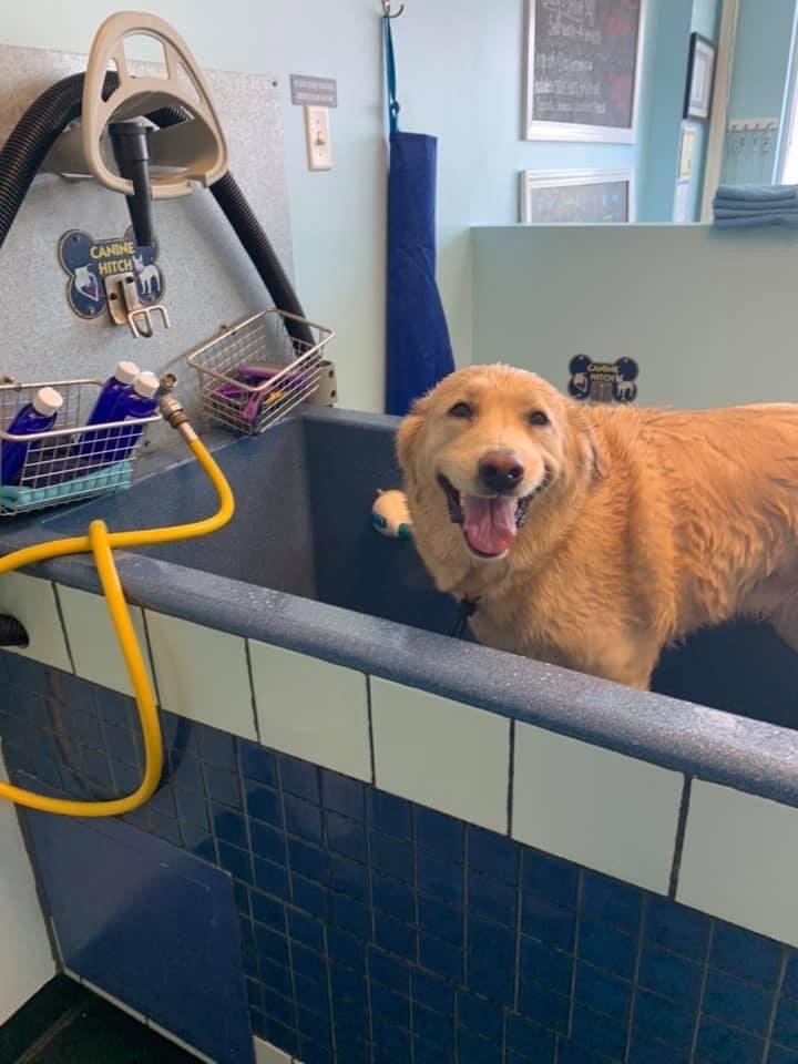 SUDSY’S MUDDY PAW WASH 4869 Mexico Rd, Saint Peters, MO Yelp