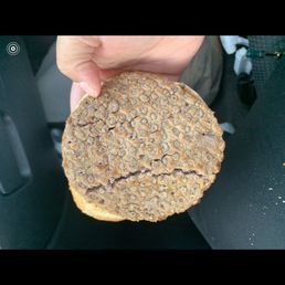 This is literally a burger ordered from here