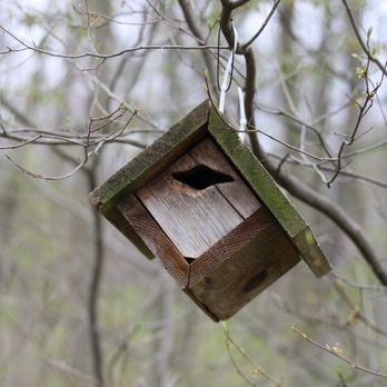 Daubenspeck Community Nature Park - Bird house - Parks Near Me - Indianapolis, Indiana Daubenspeck Community Nature Park - Bird house - Parks Near Me - Indianapolis, Indiana