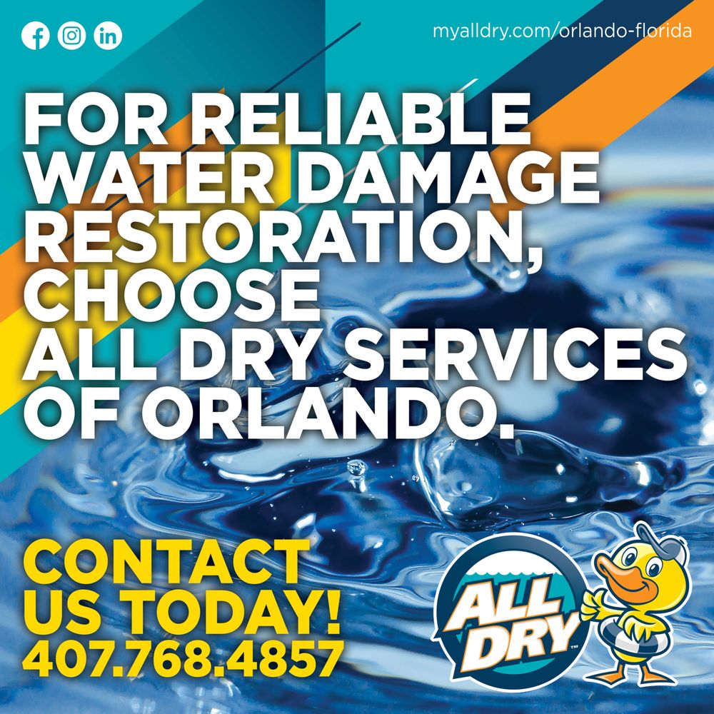All Dry Services Of Orlando - veterans service organization in Orlando, FL