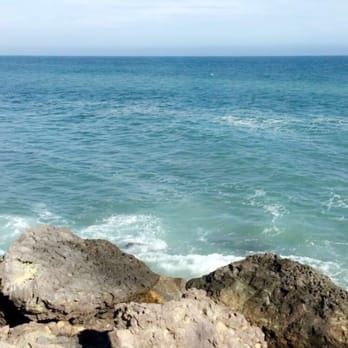 Duke's Malibu - Best view!!!! - New American Near Me - Malibu, California Duke's Malibu - Best view!!!! - New American Near Me - Malibu, California