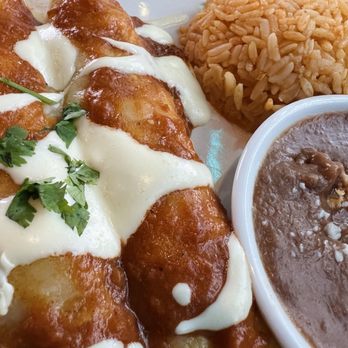 Zocalo 436 - Chicken Enchiladas - Bars Near Me - Casselberry, Florida Zocalo 436 - Chicken Enchiladas - Bars Near Me - Casselberry, Florida