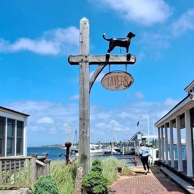 The Black Dog Tavern by null