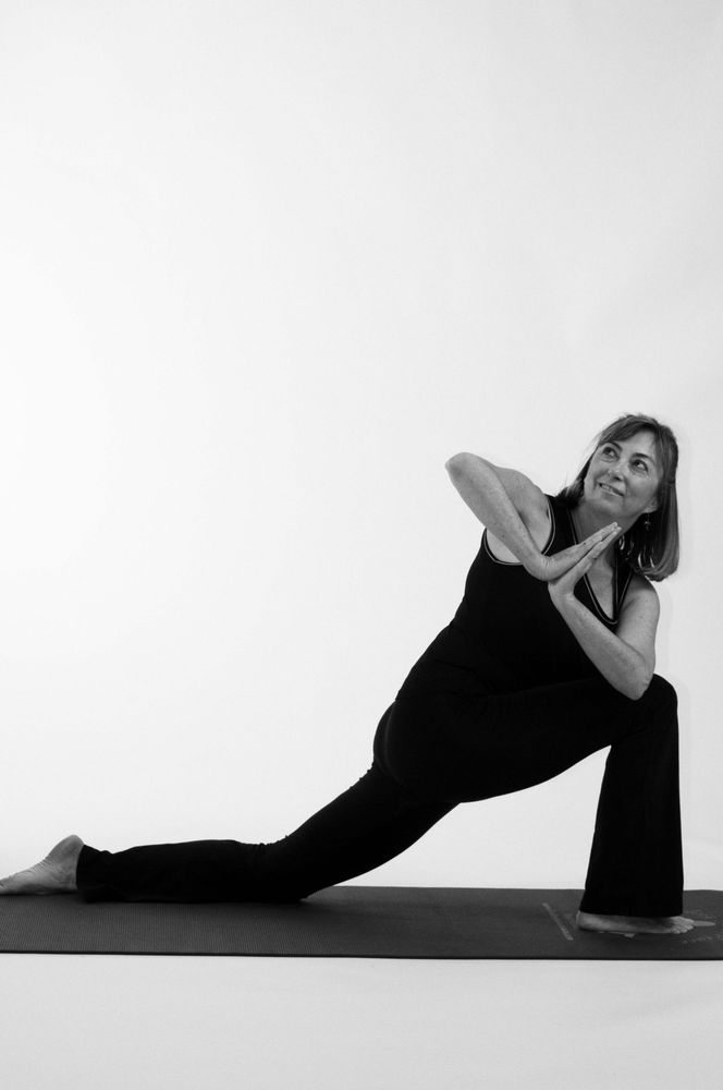 The Yoga Studio Logo