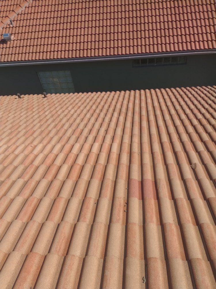 Slide of Elite Roof Cleaning