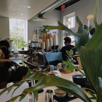Lost Sock Roasters - interior - Coffee Roasteries Near Me - Washington, DC, District of Columbia Lost Sock Roasters - interior - Coffee Roasteries Near Me - Washington, DC, District of Columbia