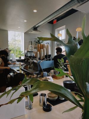 Lost Sock Roasters by null