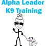 Photo of Alpha Leader K9 Training