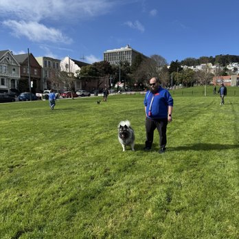 Duboce Park - Dog Parks Near Me - San Francisco, California Duboce Park - Dog Parks Near Me - San Francisco, California