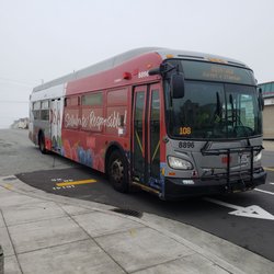 MUNI 66