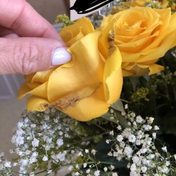 Creative Flowers n Dcor - Florists Near Me - Plainview, New York Creative Flowers n Dcor - Florists Near Me - Plainview, New York