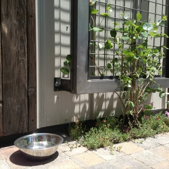 Laughing Planet - Waterbowl for your dog - Vegetarian Near Me - Reno, Nevada Laughing Planet - Waterbowl for your dog - Vegetarian Near Me - Reno, Nevada