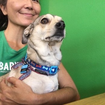 Barx Parx - Pet Training Near Me - Las Vegas, Nevada